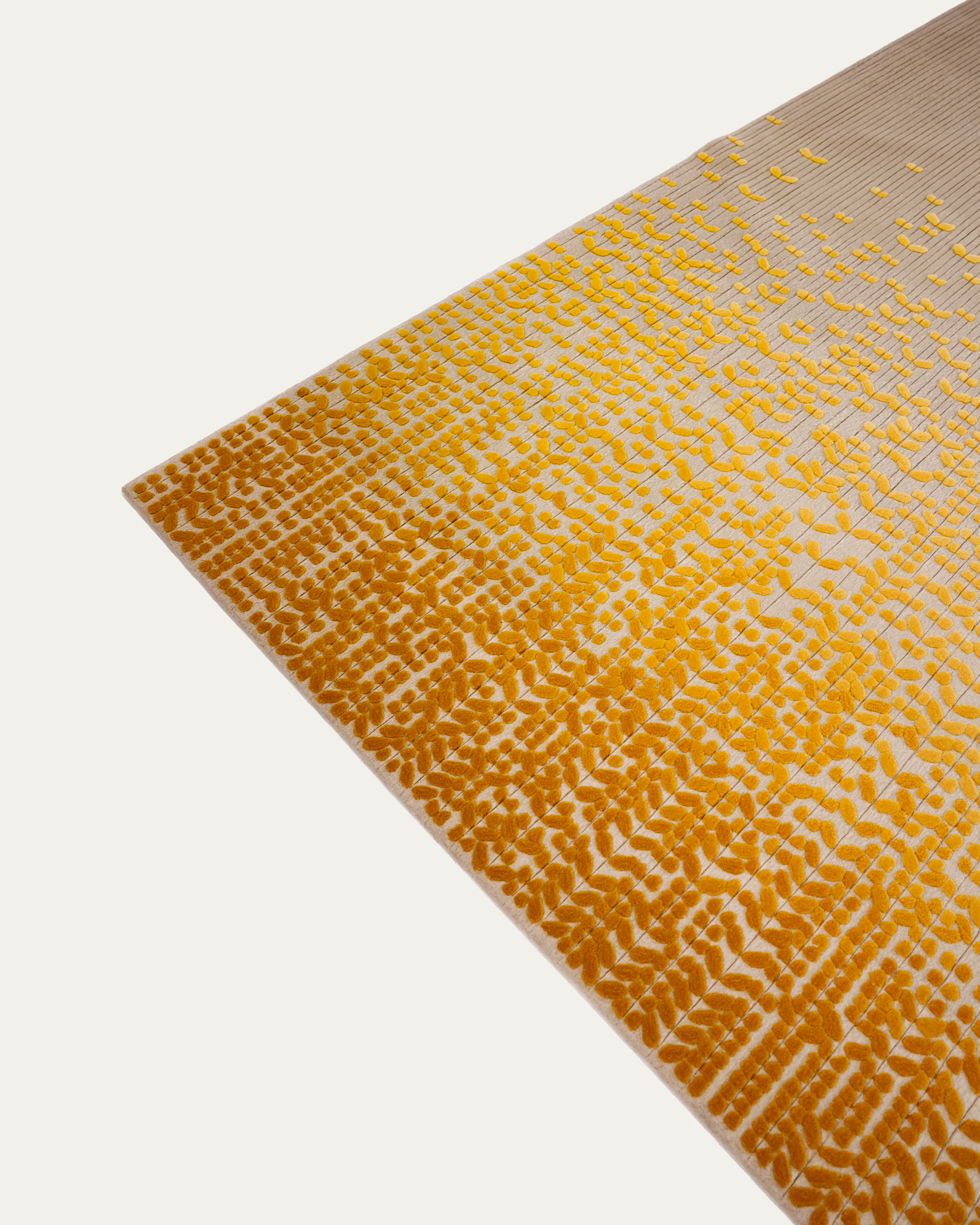 Ghaf (Yellow) - Image 4