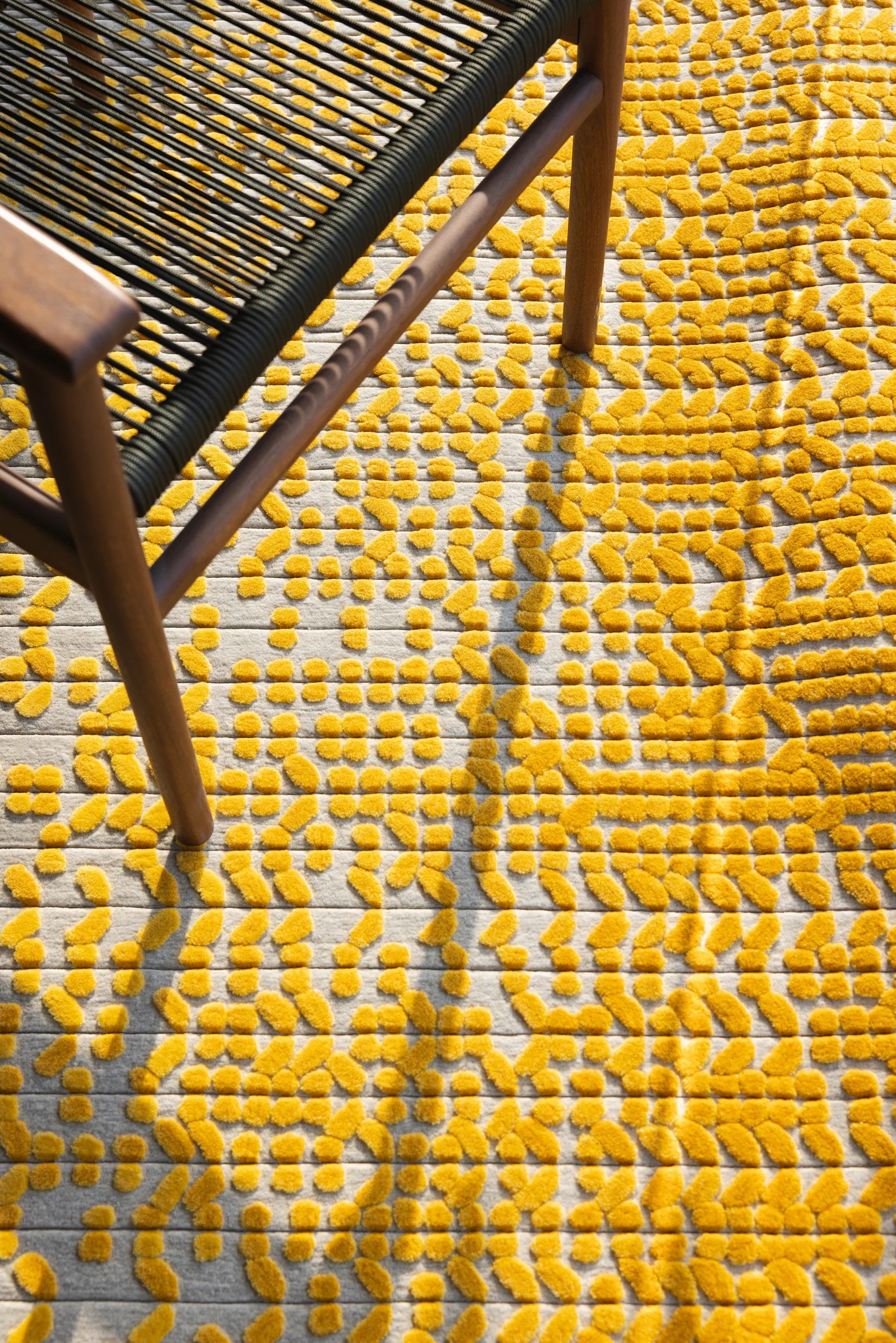 Ghaf (Yellow) - Image 6