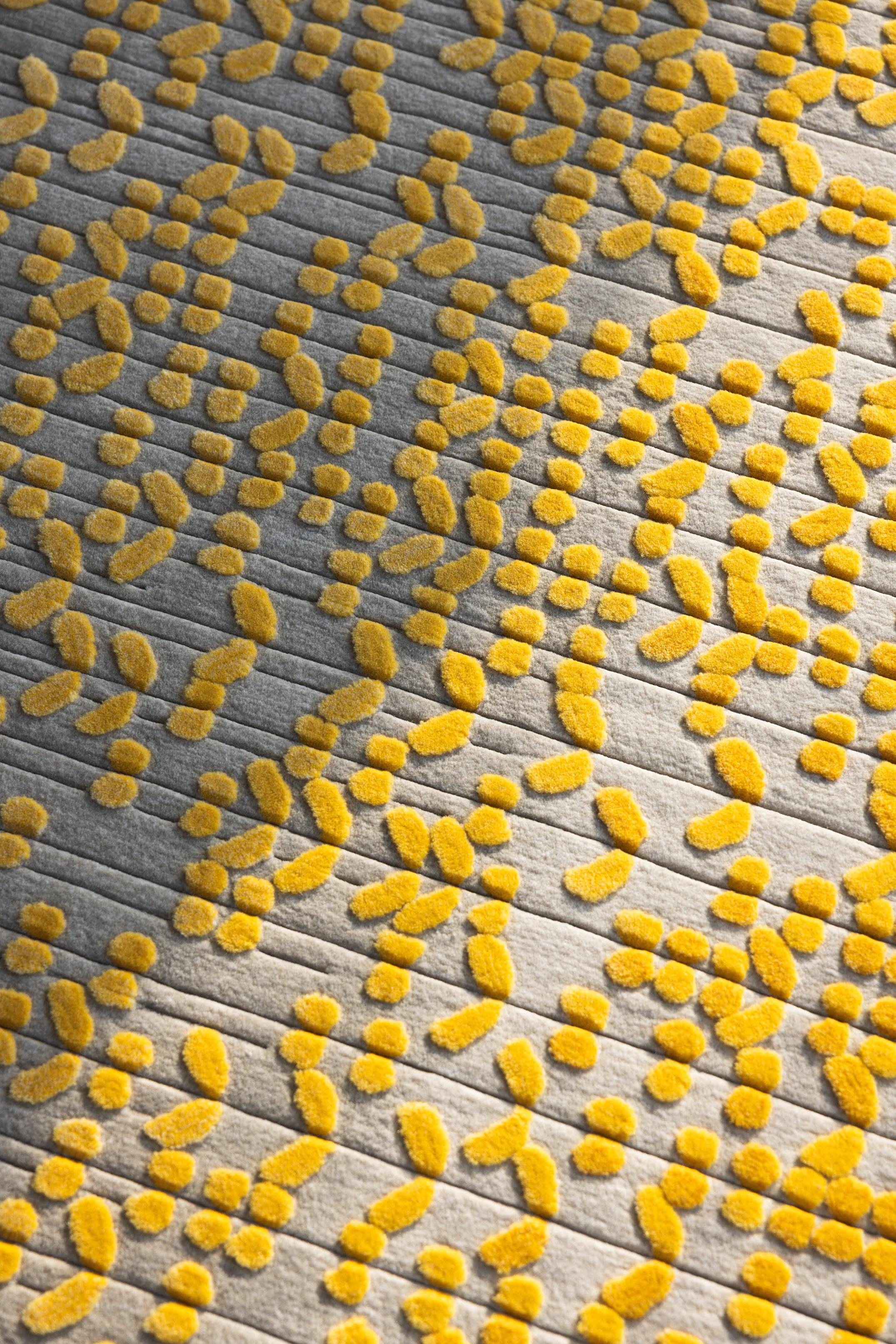 Ghaf (Yellow) - Image 7