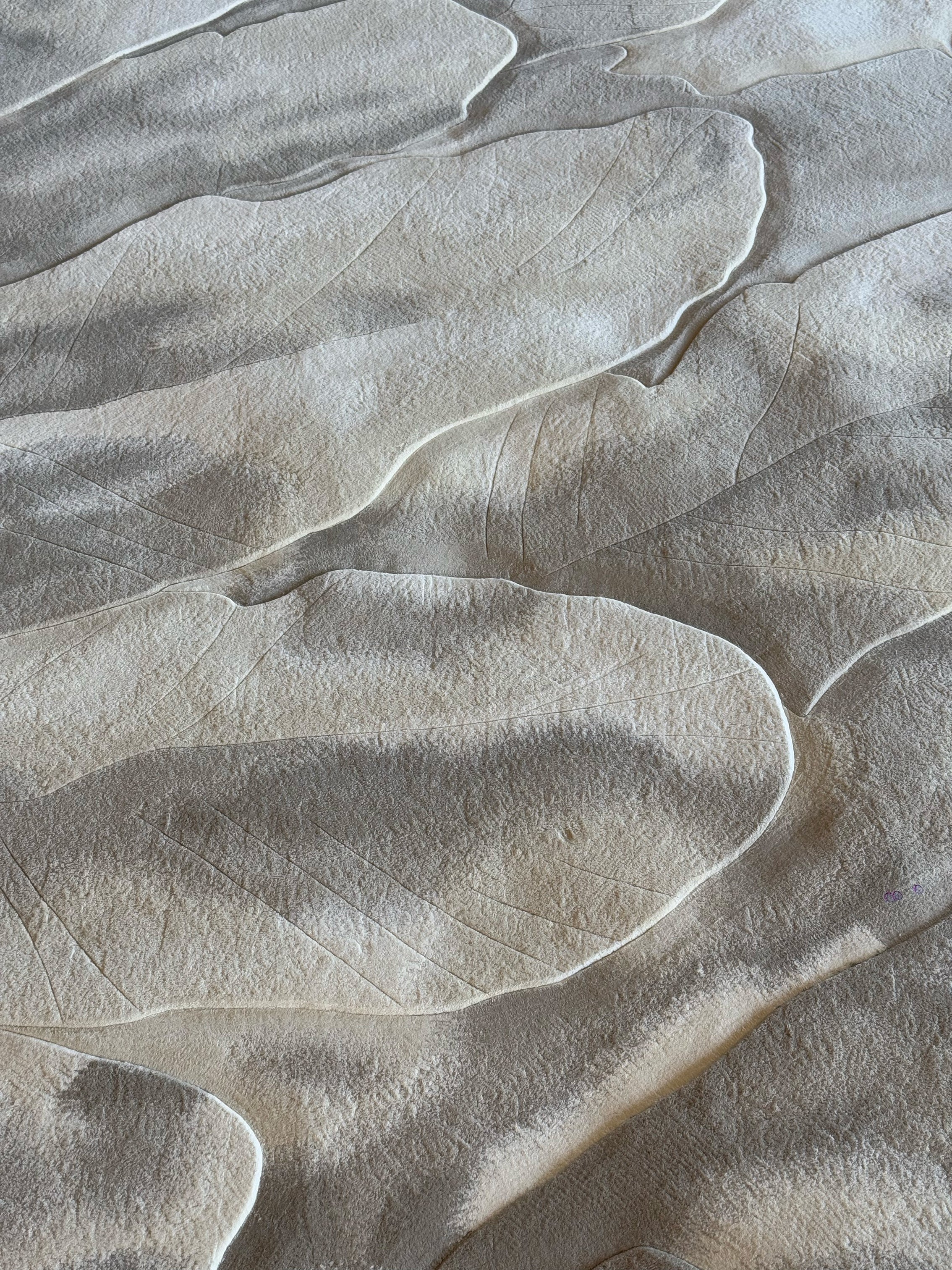 Plume (Dove) - Image 5